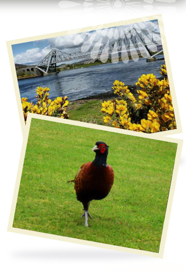 Benderloch Caravans